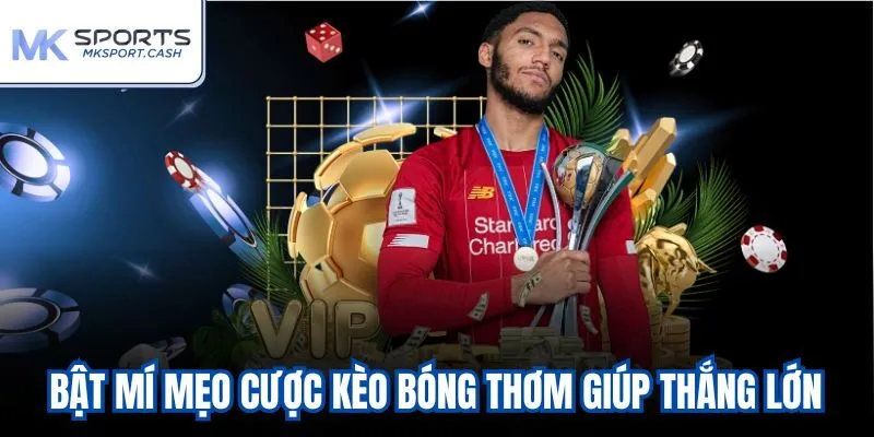 Bật mí mẹo cược kèo bóng thơm giúp thắng lớn