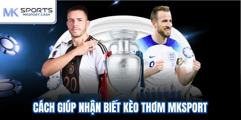 Cách giúp nhận biết kèo thơm mksport